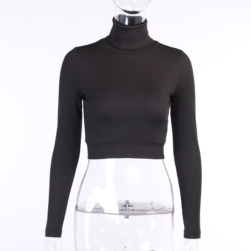 CASUAL TURTLENECK CROP OUTFIT